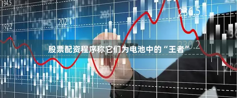股票配资程序称它们为电池中的“王者”
