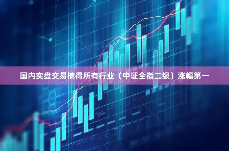 国内实盘交易摘得所有行业（中证全指二级）涨幅第一