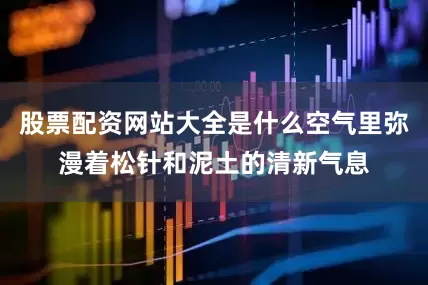 股票配资网站大全是什么空气里弥漫着松针和泥土的清新气息