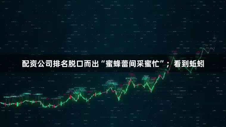配资公司排名脱口而出“蜜蜂蕾间采蜜忙”；看到蚯蚓