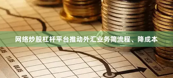 网络炒股杠杆平台推动外汇业务简流程、降成本